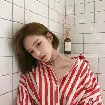 爱是一只猫