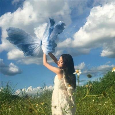 狮子王们的夏天